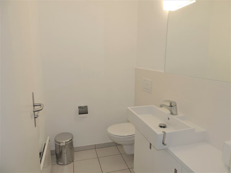 AMPIO UFFICIO CON GIARDINO A SORENGO (10)