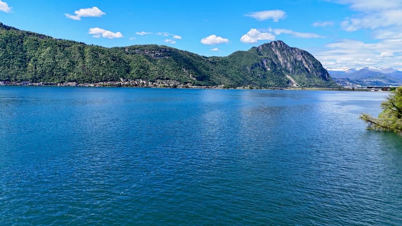 Villa sul lago con darsena privata (9)