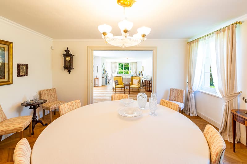 Elegante villa con piscina immersa nel verde (6)