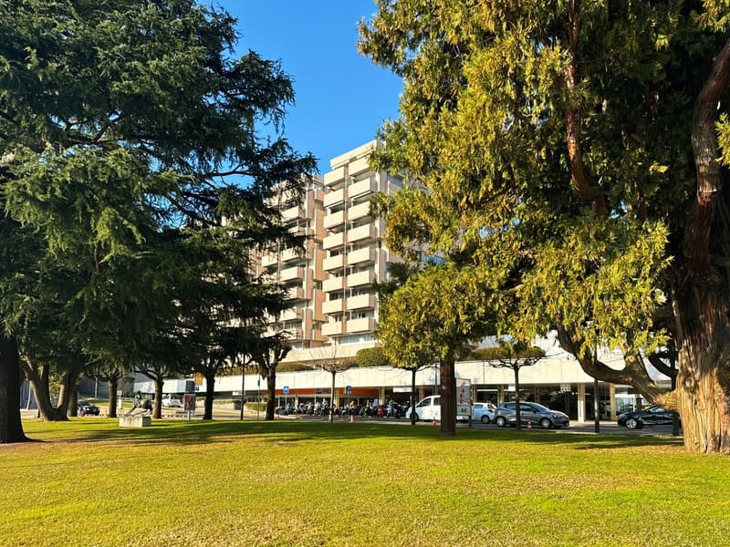 Uno sguardo privilegiato sul lungolago di Lugano (3)