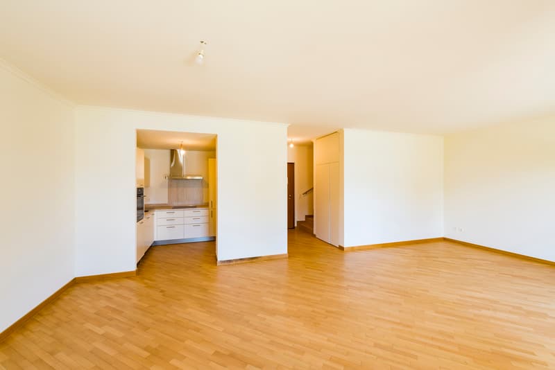 Residenza Bristol: bellissimo duplex 6.5 locali (8)