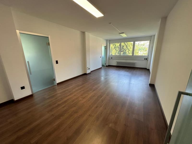 Prestigioso ufficio di rappresentanza su viale alberato a Chiasso (3)