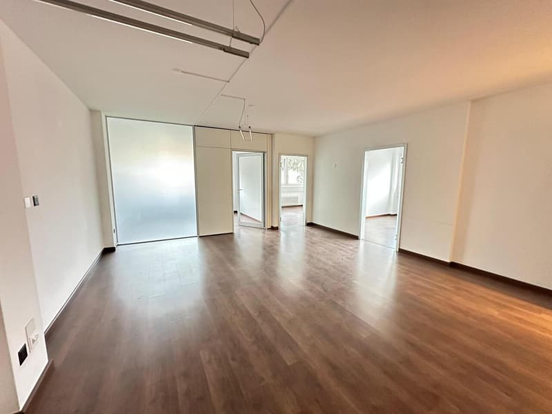 Prestigioso ufficio di rappresentanza su viale alberato a Chiasso (4)
