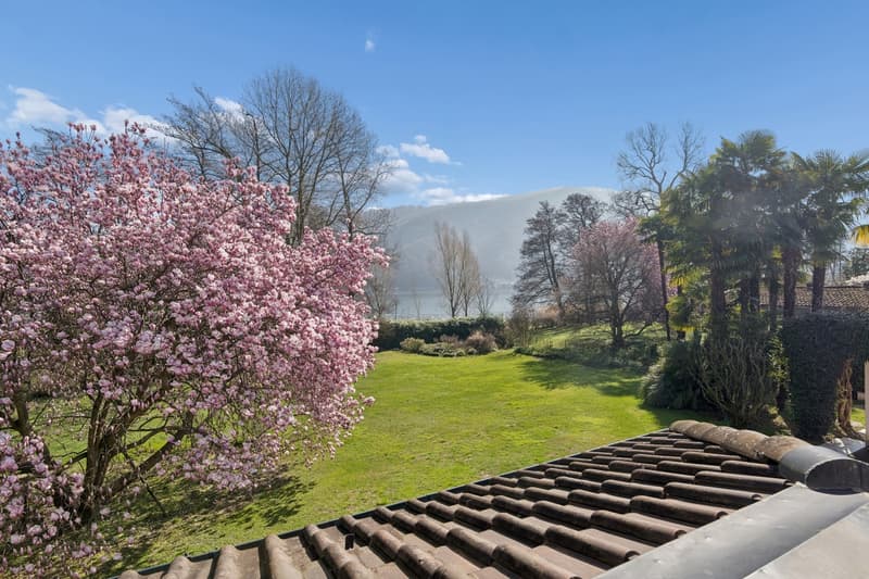 Villa Magnolia: Splendida villa fronte lago a Magliaso (6)