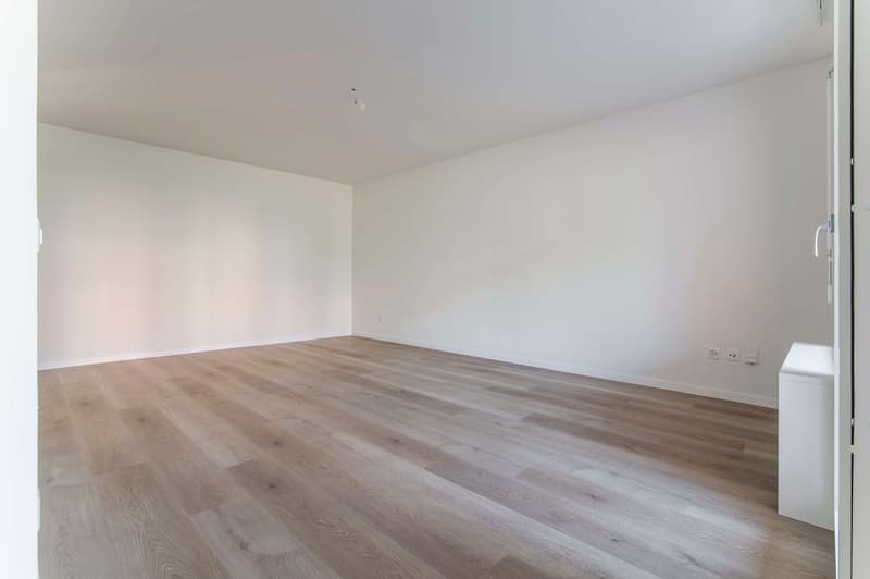Esclusivo 3.5 locali Breganzona Ristrutturato con finiture di pregio (9)