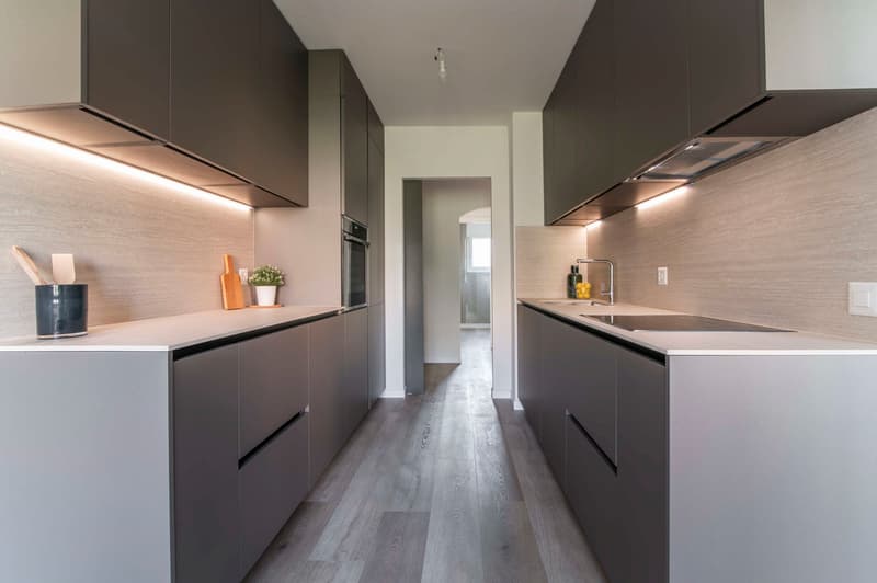 Esclusivo 3.5 locali Breganzona Ristrutturato con finiture di pregio (2)