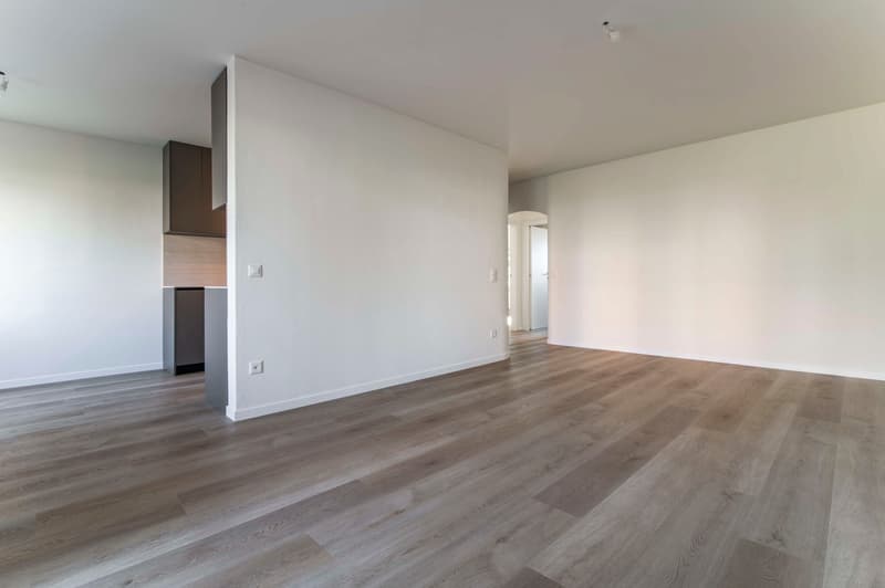 Esclusivo 3.5 locali Breganzona Ristrutturato con finiture di pregio (3)