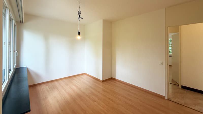 3.5 locali immerso nel verde (6)
