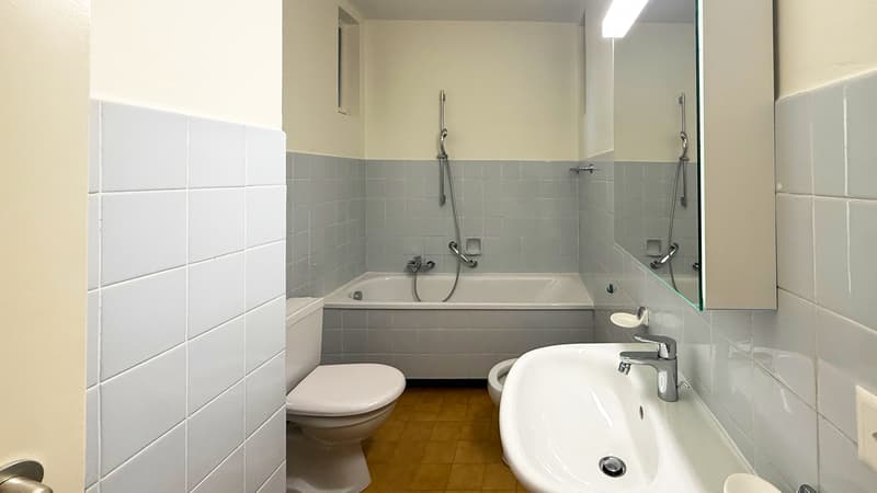 3.5 locali immerso nel verde (8)