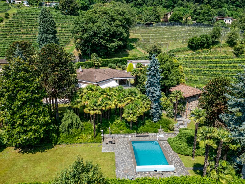 Villa Eden | 2'840 mq con riserva edificatoria alle porte di Lugano (2)