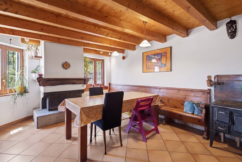 Casa ticinese immersa nella natura (3)