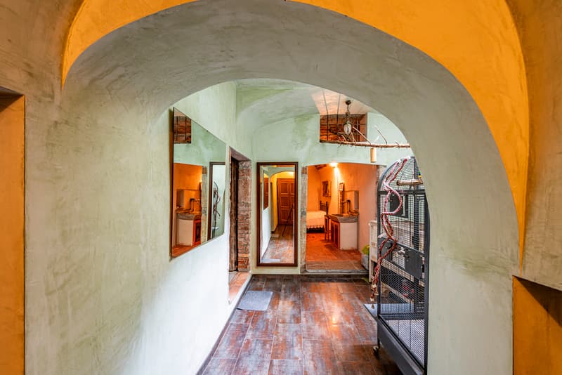 Affascinante casa nel nucleo, con il suo vigneto sul lago (11)