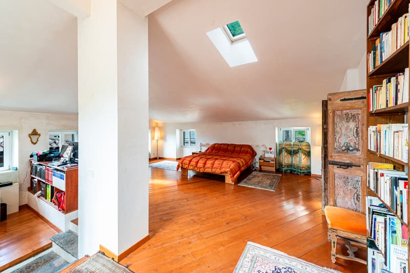 Affascinante casa ticinese (13)