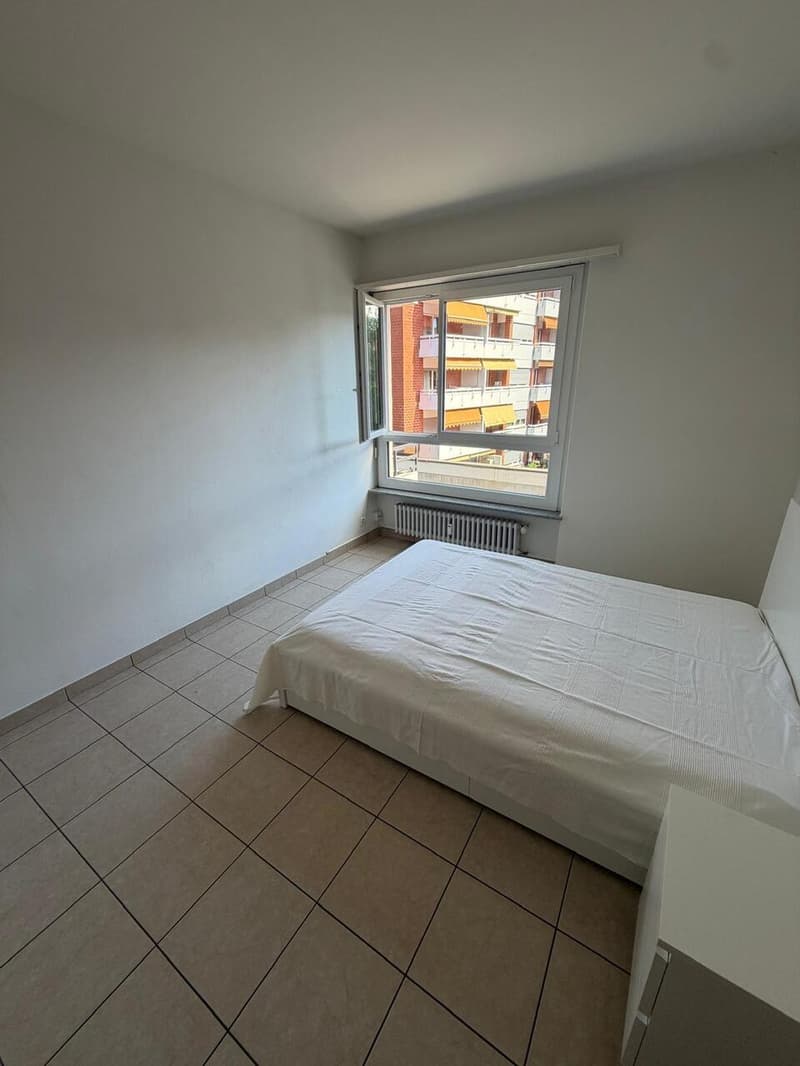 Luminoso 2.5 locali parzialmente arredato a Lugano (3)
