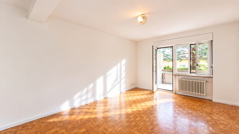 ACCOGLIENTE 2.5 LOCALI CON GIARDINO (8)