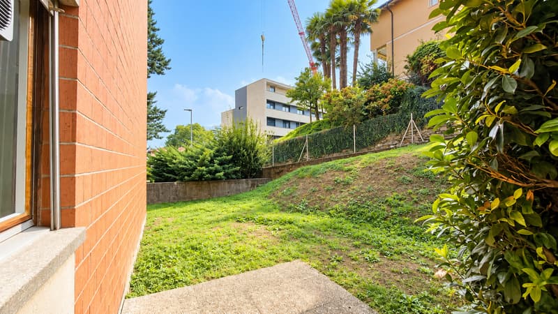 ACCOGLIENTE 2.5 LOCALI CON GIARDINO (12)