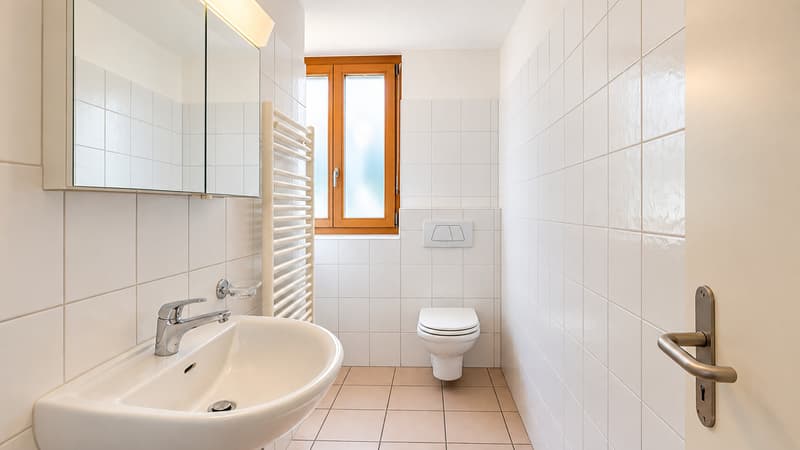 ATTICO DUPLEX NUCLEO BIOGGIO (9)
