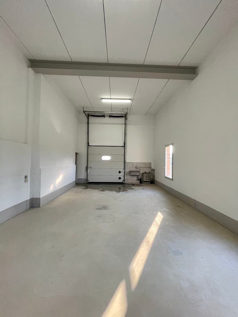 SPAZIO COMMERCIALE A GENESTRERIO (2)