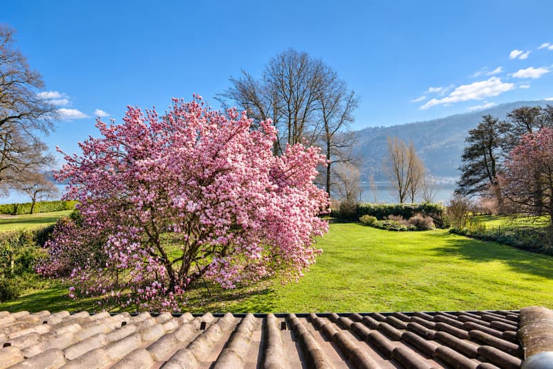 Villa Magnolia, Magliaso | In prima linea sul Lago di Lugano (7)