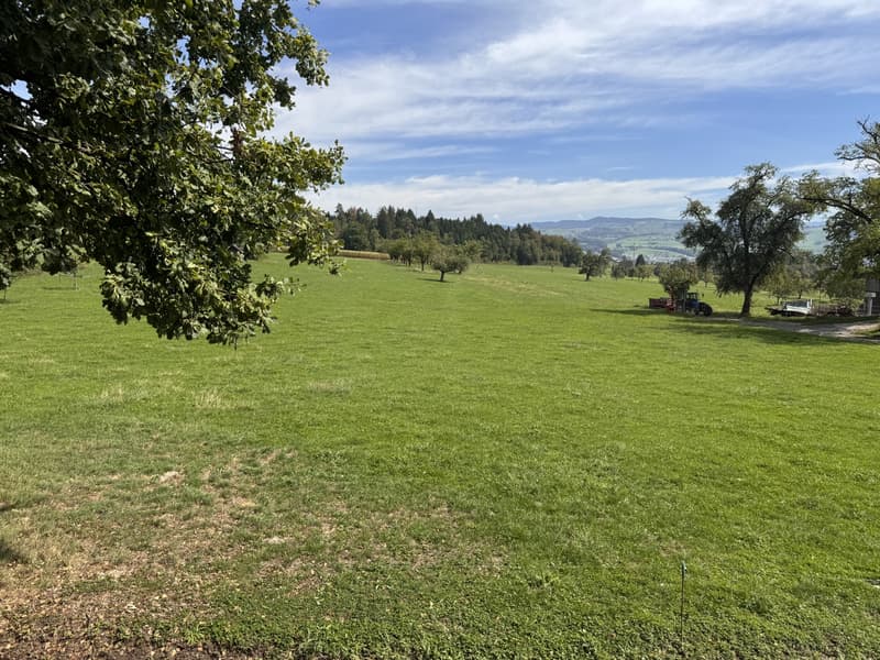 Aussicht EG