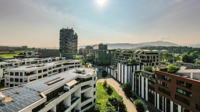 Ihr Arbeitsplatz in der Suurstoffi - Modernes Einzelbüro (1)