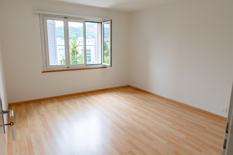 Schöne 3.0 Zimmer Wohnung mit Wintergarten in Olten (2)