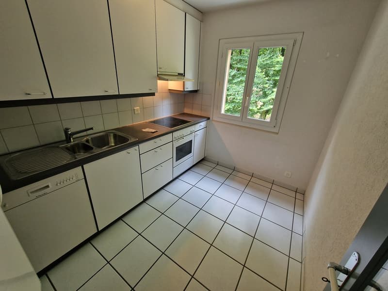 Schöne 3.0 Zimmer Wohnung mit Wintergarten in Olten (8)