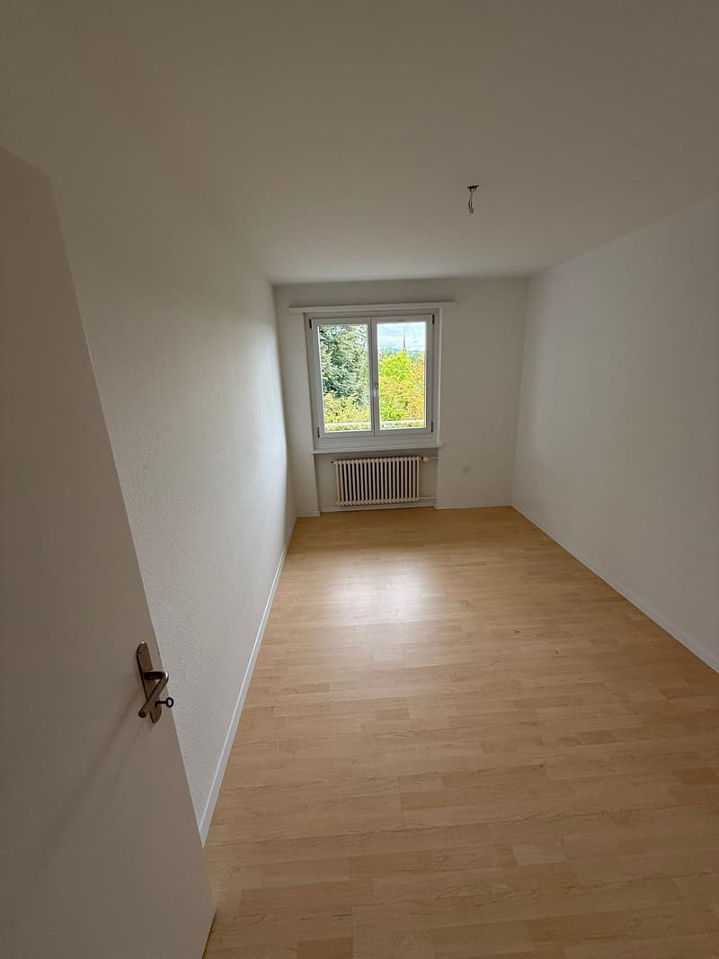 Per sofort oder nach Vereinbarung vermieten wir eine schöne 4.0-Zimmerwohnung in Rorschach (5)