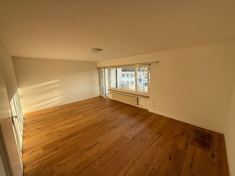 Schöne 2.0-Zimmer-Wohnung in St. Gallen (2)