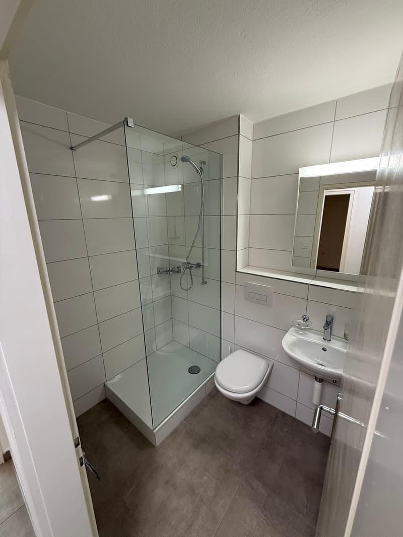 Schöne 2.0-Zimmer-Wohnung in St. Gallen (5)