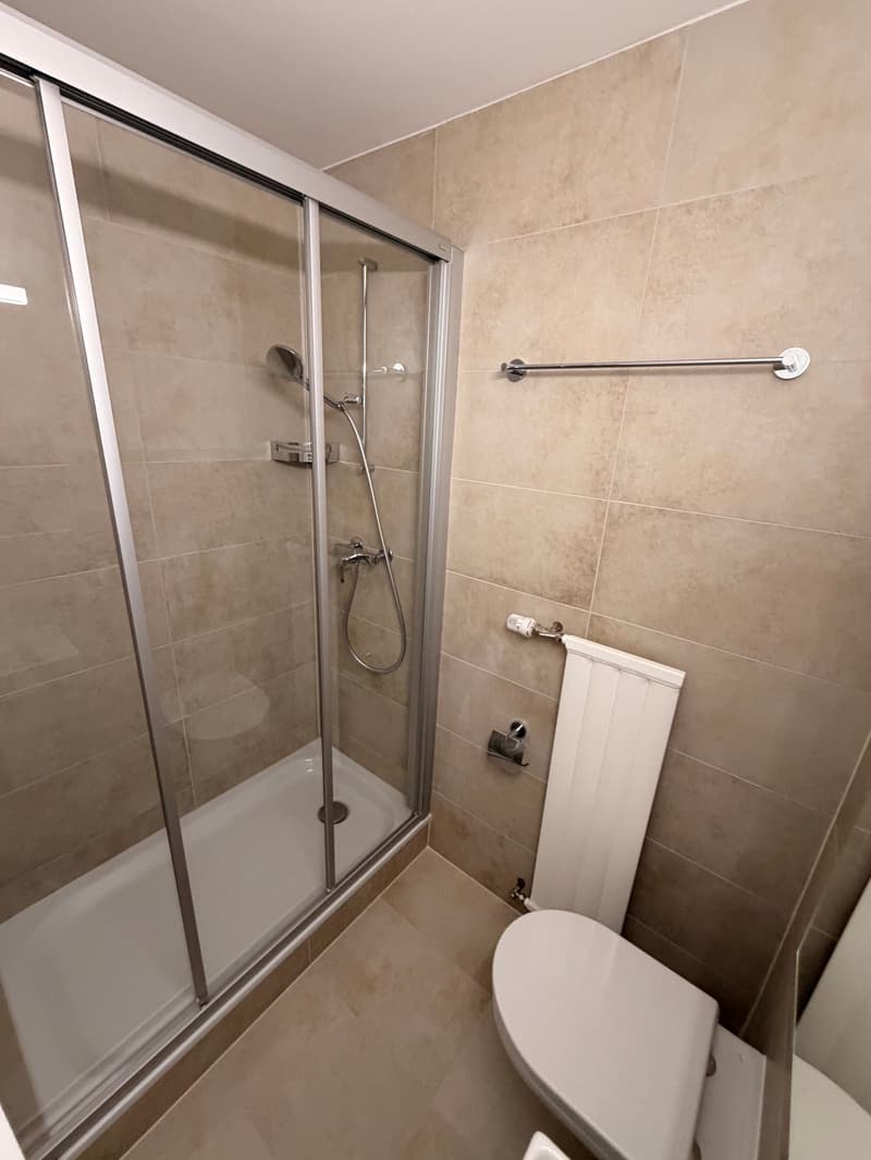 Erstvermietung nach Renovierung – Moderne 1.5-Zimmerwohnung in Trimbach (5)
