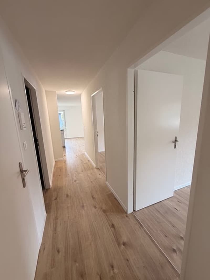 Erstvermietung nach Renovierung – Moderne 3.5-Zimmerwohnung in Trimbach (2)