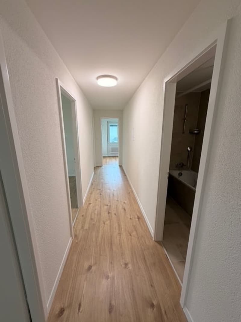 Erstvermietung nach Renovierung – Moderne 4.5-Zimmerwohnung in Trimbach (2)