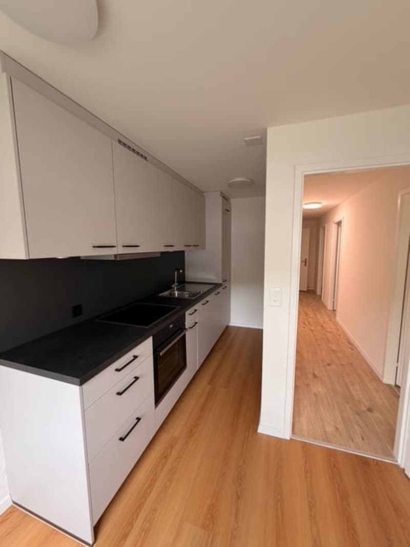 Erstvermietung nach Renovierung – Moderne 4.5-Zimmerwohnung in Trimbach (13)