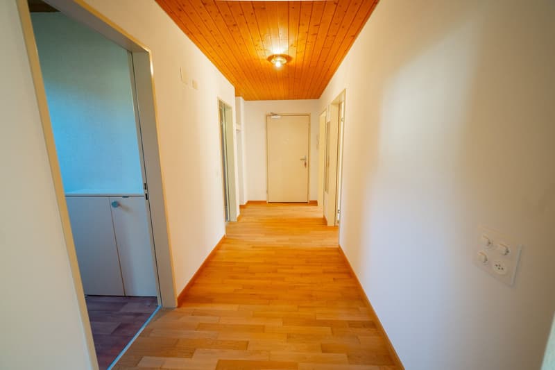 Helle 3.5-Zimmerwohnung im Grünen in Thalheim (12)