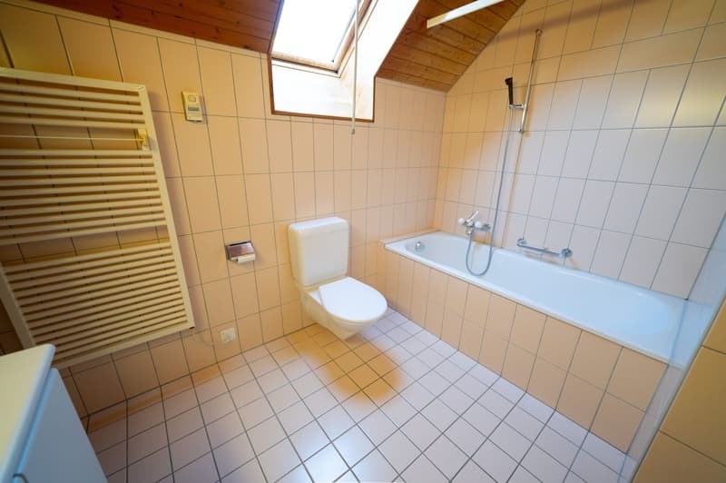 Helle 3.5-Zimmerwohnung im Grünen in Thalheim (11)