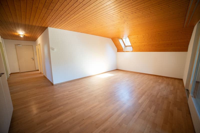Helle 3.5-Zimmerwohnung im Grünen in Thalheim (8)