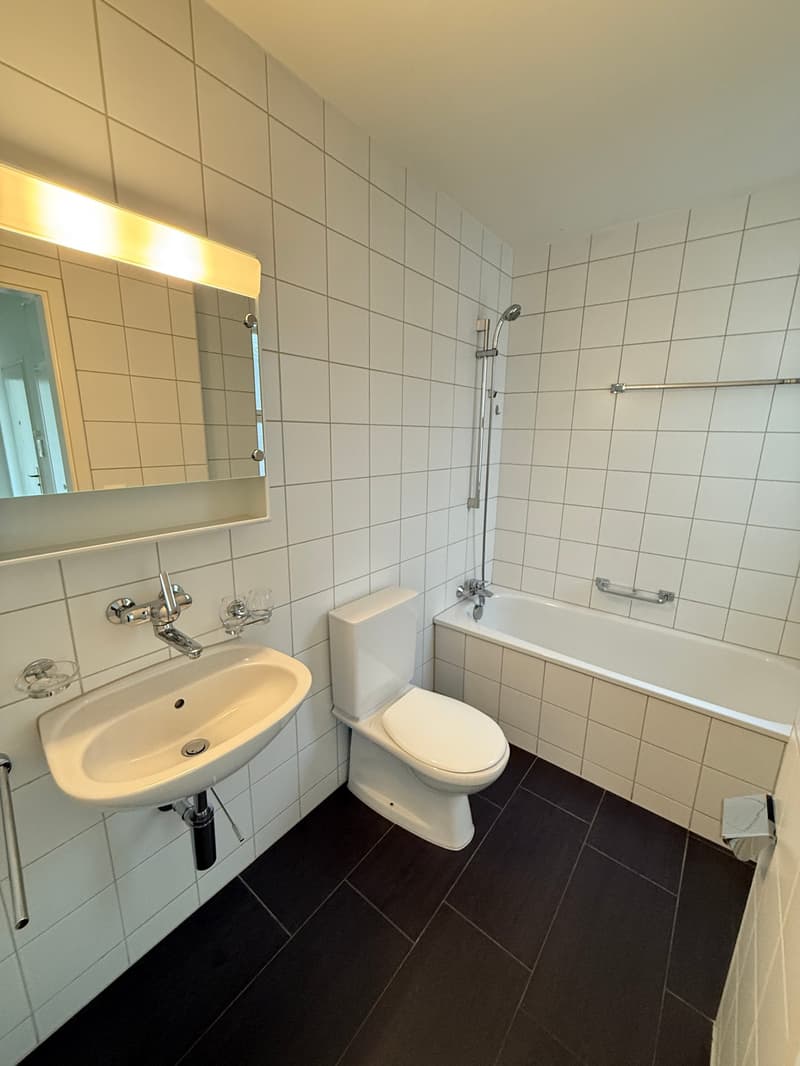 Helle 2.0 Zimmerwohnung mit Balkon im Zentrum von Rorschach! (11)
