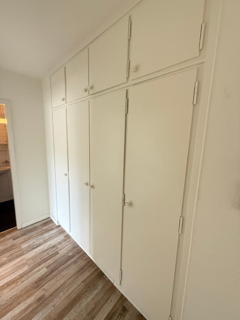 Helle 2.0 Zimmerwohnung mit Balkon im Zentrum von Rorschach! (10)