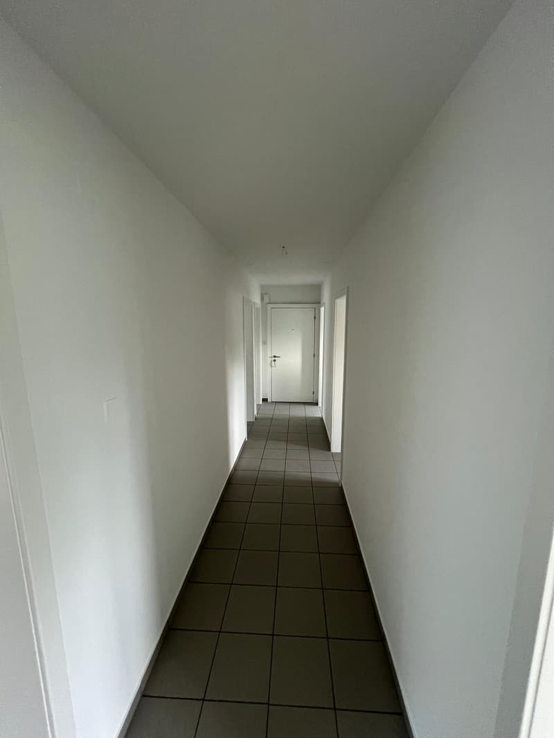 Attraktive 4.5-Zimmer-Wohnung zu vermieten in Sevelen! (7)