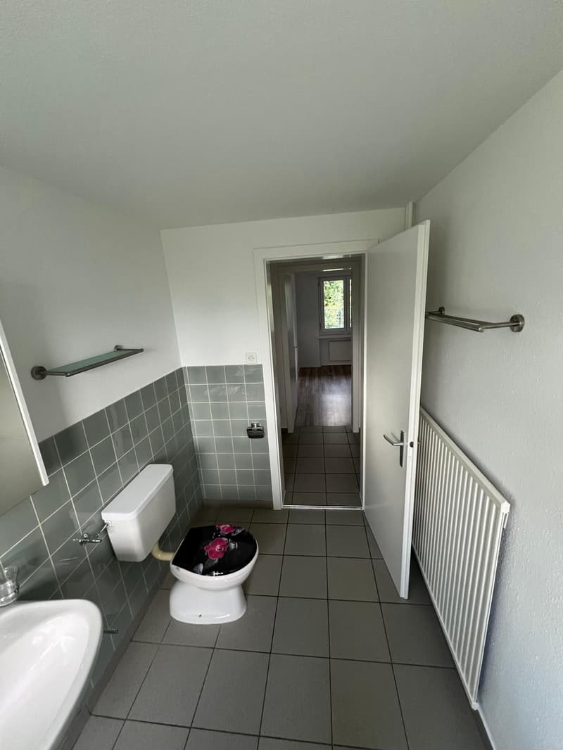 Attraktive 4.5-Zimmer-Wohnung zu vermieten in Sevelen! (6)