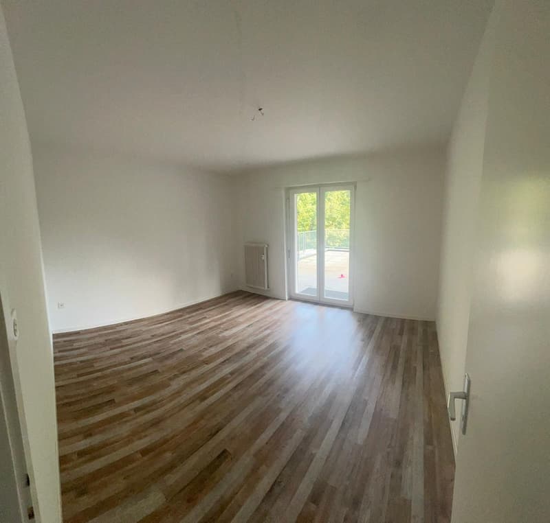 Attraktive 4.5-Zimmer-Wohnung zu vermieten in Sevelen! (14)