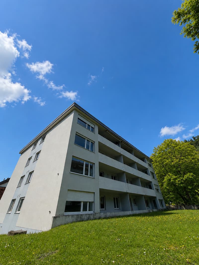Erstvermietung nach Renovierung – Moderne 3.5-Zimmerwohnung in Trimbach (1)
