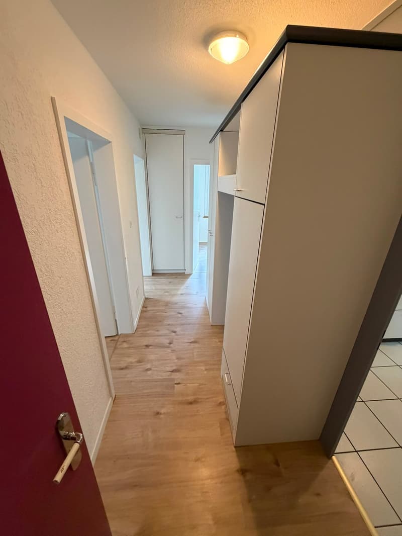 Helle 3.0-Zimmerwohnung mit grossem Wintergarten in ruhiger Lage in Olten (2)
