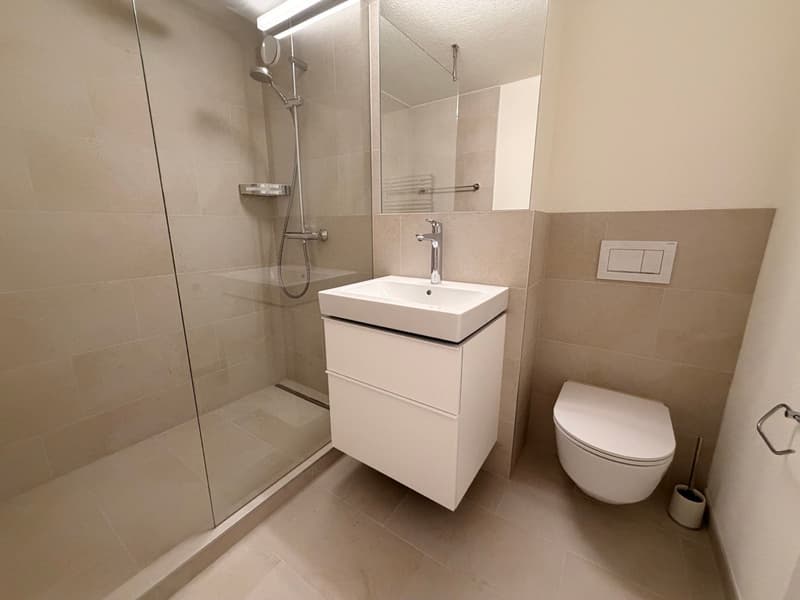 Moderne 4.5-Zimmer-Wohnung in Au – sofort verfügbar! (7)