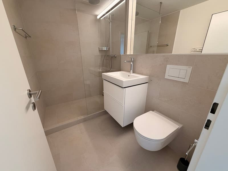 Helle 3.5-Zimmer-Wohnung mit Balkon und Kamin in Au SG (6)