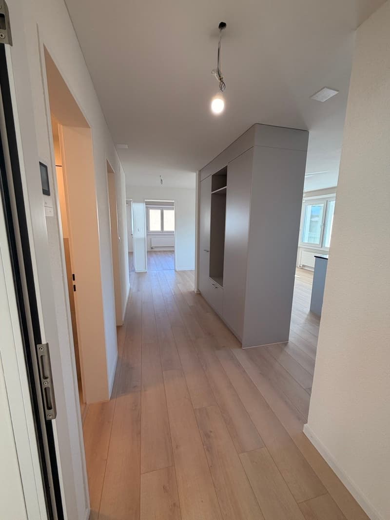 Helle 3.5-Zimmer-Wohnung mit Balkon und Kamin in Au SG (8)