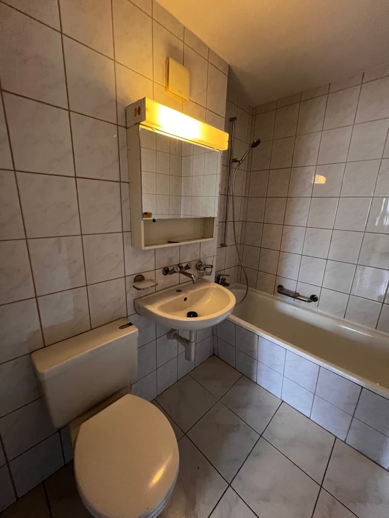Schöne 4.5 Zimmer Wohnung mit Kamin! (5)