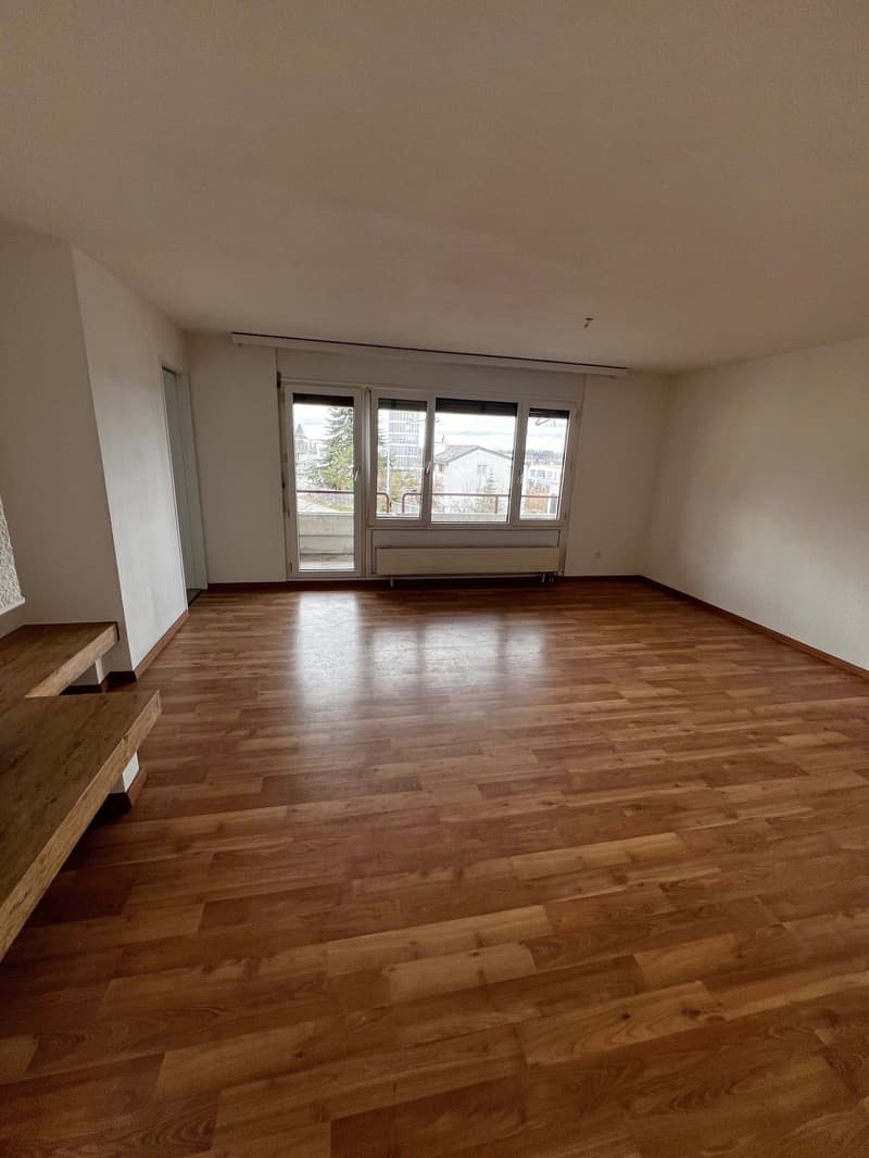 Schöne 4.5 Zimmer Wohnung mit Kamin! (6)