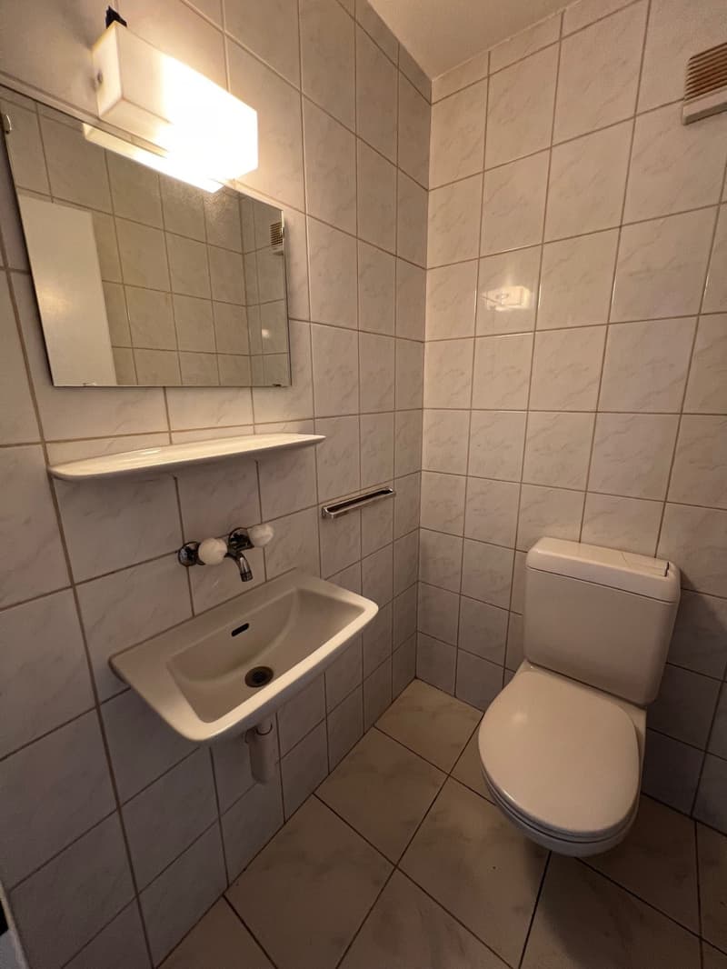 Schöne 4.5 Zimmer Wohnung mit Kamin! (4)